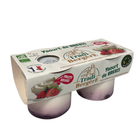 fruits rouges x2.jpg