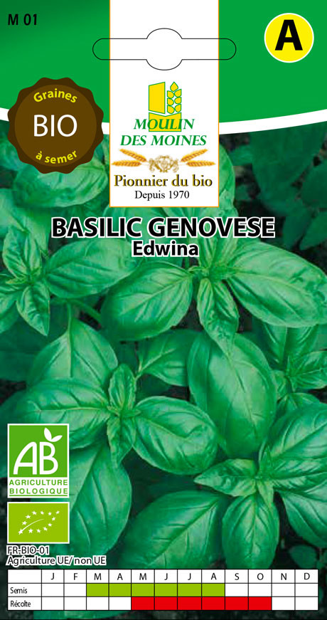 SEMENCE BASILIC GENO. EDWINA 1G AB