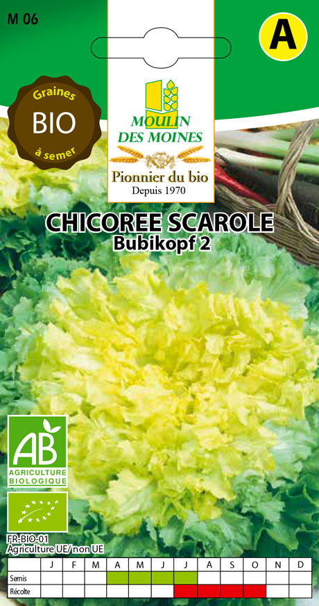 SEMENCE CHICOREE SCAROLE 3G AB