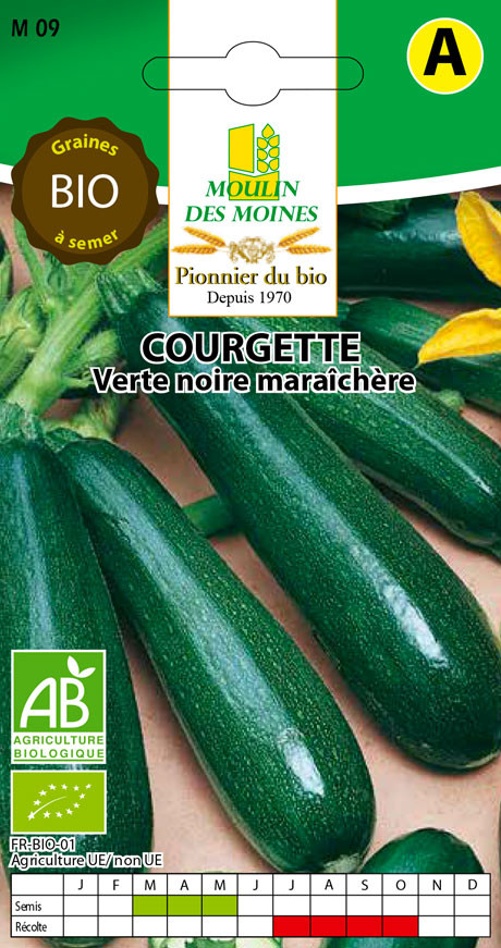 SEMENCE COURGETTE VERTE NOIRE 3G AB