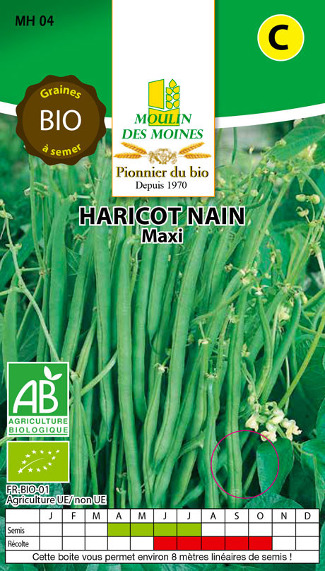 SEMENCE HARICOTS NAINS MAXI 125G AB