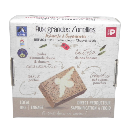 FA derriere retouché-Photoroom.png-Photoroom.png