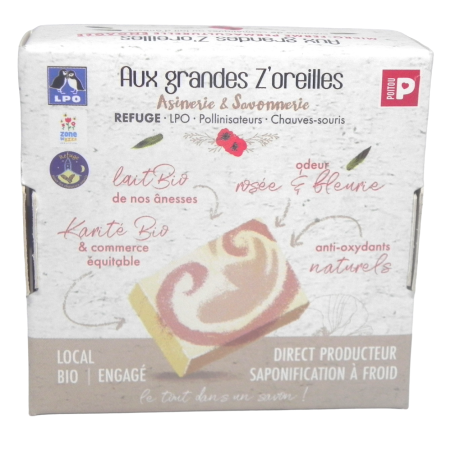 RDS derrière retouché-Photoroom.png-Photoroom.png