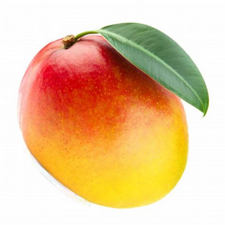 Mangue fraîche.jpg
