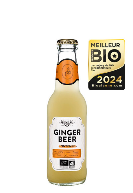 GINGER BEER BIO 20cl