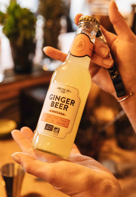 GINGER BEER BIO 20cl