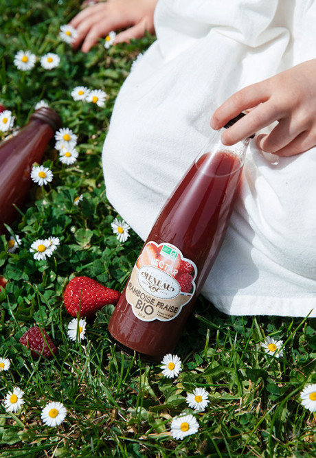 NECTAR FRAMBOISE FRAISE 25cl