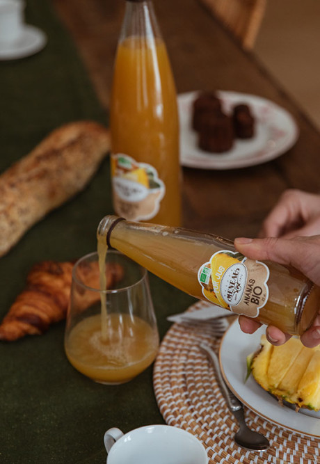 PUR JUS ANANAS 25cl