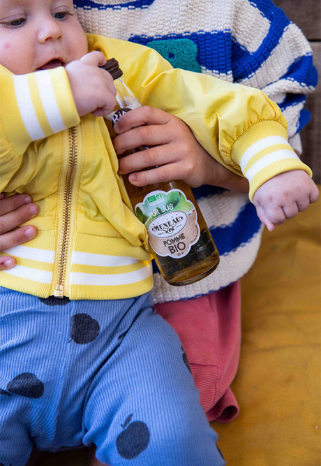 PUR JUS POMME DU LOT ET GARONNE (CLARIFIÉ) 25cl