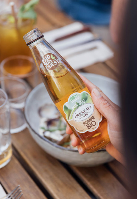 PUR JUS POMME DU LOT ET GARONNE (CLARIFIÉ) 25cl