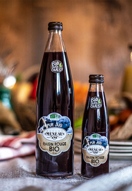 PUR JUS RAISIN ROUGE MERLOT - MALBEC  25cl