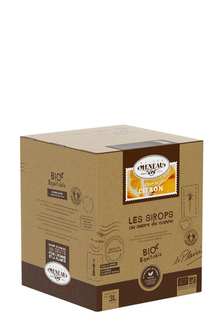 SIROP DE CITRON 3L