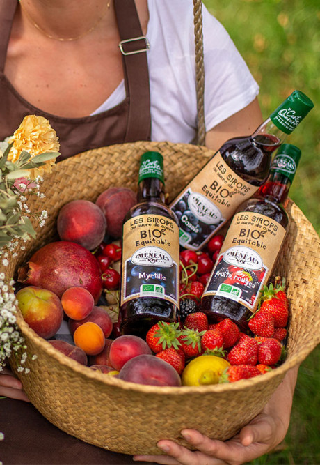 SIROP DE FRUITS ROUGES 50cl