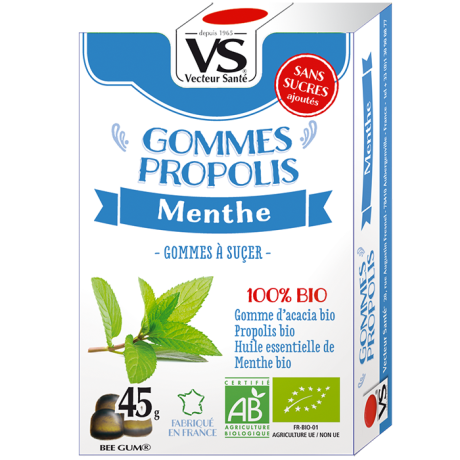BOITES-GOMMES-MENTHE-WEB-161011.png