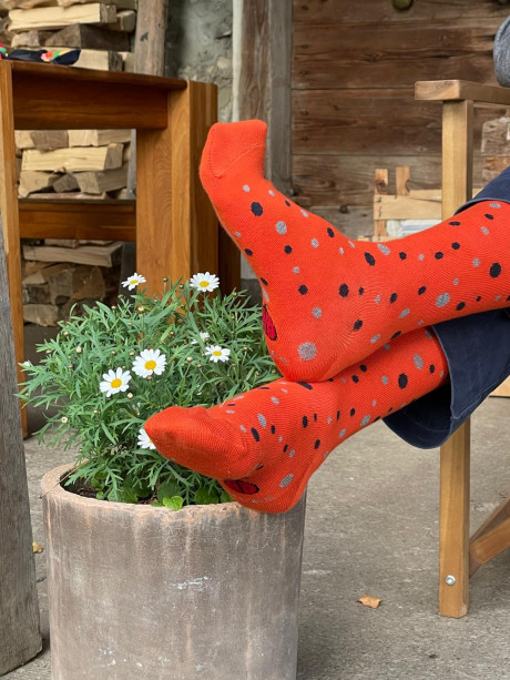 Eclats d'automne - mi-chaussettes en coton bio pour hommes et femmes.jpg