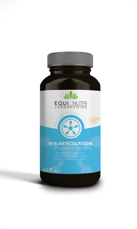 N°4 Articulation.jpg