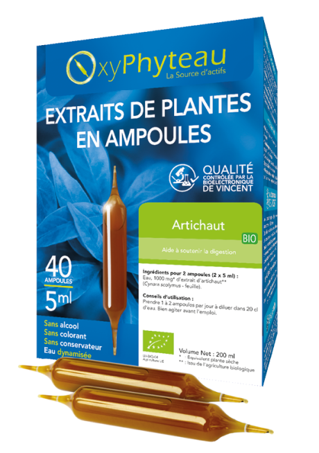 ARTICHAUT.png