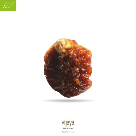 Coqueret du Pérou - Physalis - PEROU - 5 Kg - Bio* (*Certifié Bio par FR-BIO-10)