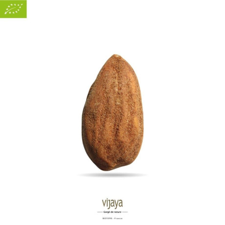 Amande Décortiquée - SELECTION VIJAYA - SICILE - 2x5 kg - Bio* (*Certifié Bio par FR-BIO-10)