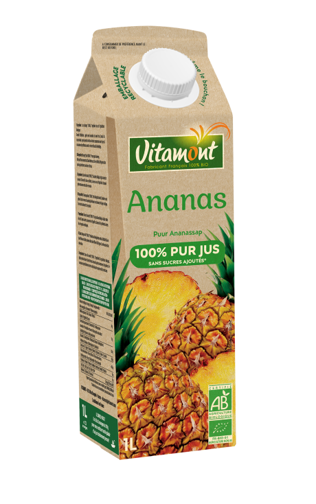 Elopak-Ananas.png