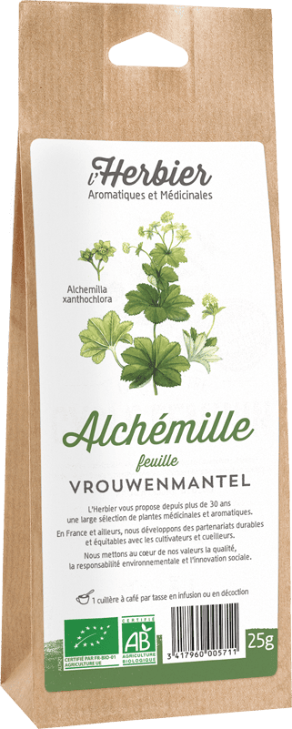 ALCHEMILLE feuilles sachet 25g*