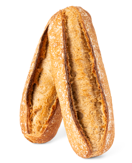 PHOTO_2 CAMUSETTES CAMPAGNE.png