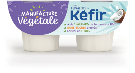 KEFIR-web.png