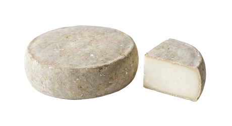 Tomme-brebis.png