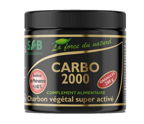 CARBO 2000-Web.png