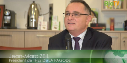 Du thé pour limiter le mauvais cholestérol !