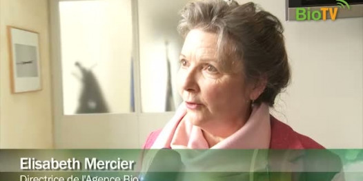 Résultats du Baromètre 2012 de l'Agence Bio : Rencontre avec Elisabeth Mercier
