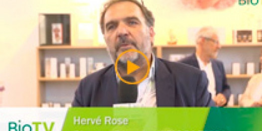 NATEXPO 2019 : HIFAS DA TERRA