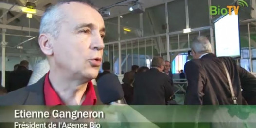 Comment se développer en restant cohérent avec ses valeurs ? : Reportage sur le congrès Eco-Expert 2013