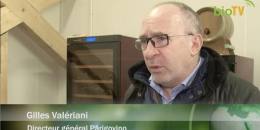 Parigovino, la plus grande cave Bio dEurope
