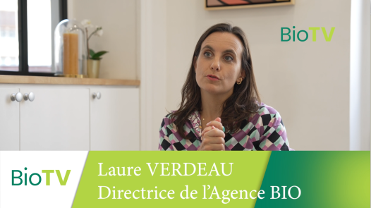 Capture d’écran 2023-10-11 à 16.08.36.png